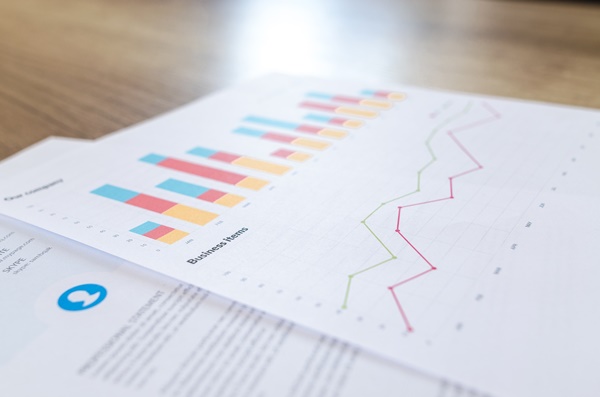 Panorama Económico estima inflación de 0,1% en enero y febrero de 2019