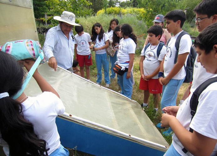 Emprendedores se consolidan gracias al apoyo del Centro de Desarrollo de Negocios de Linares