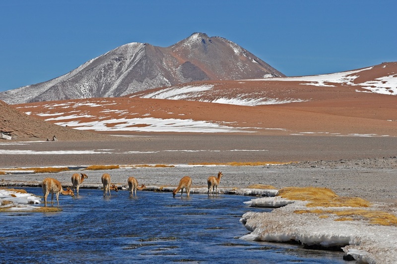 CIMON UST para el desarrollo del turismo regional