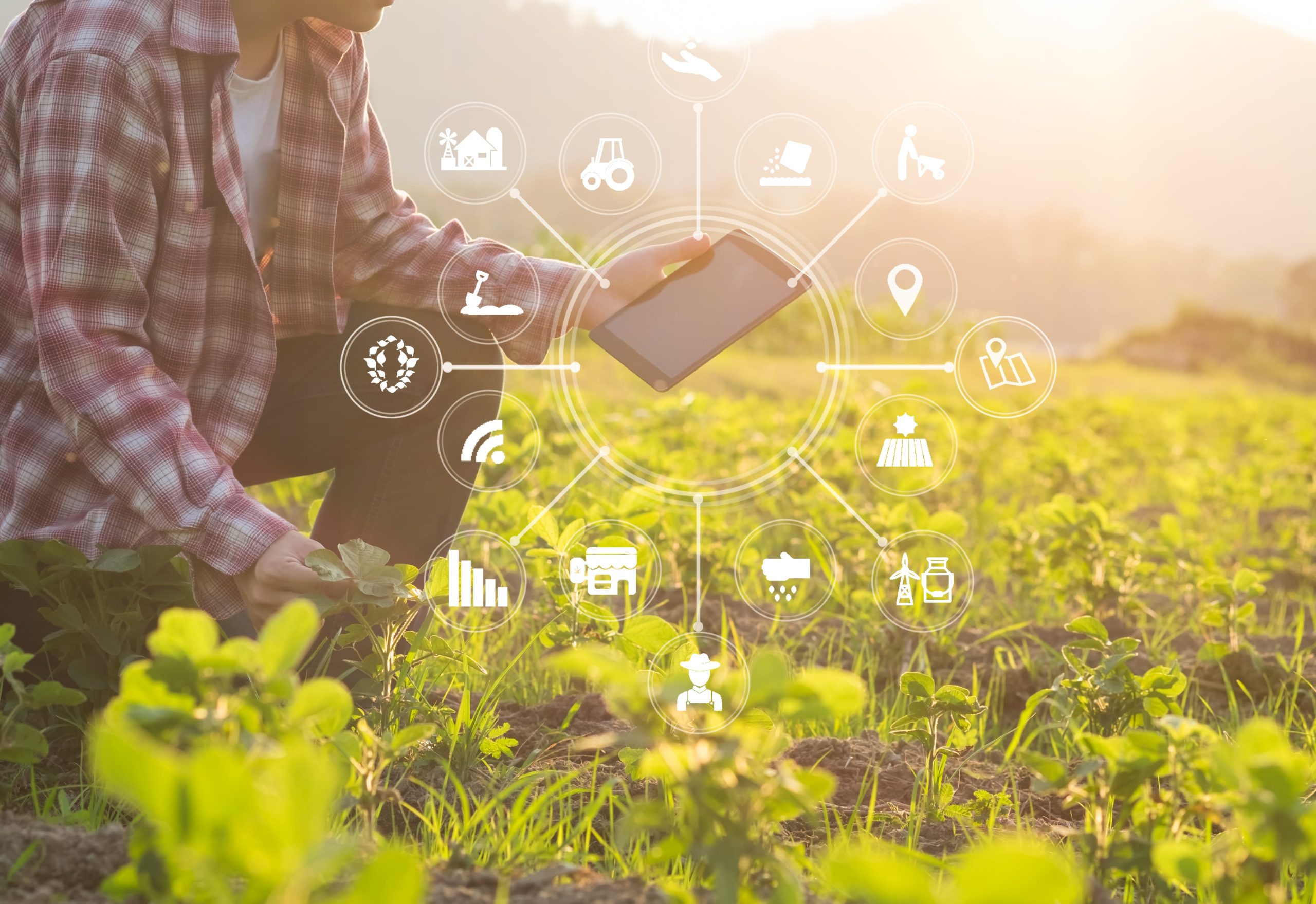 Universidad Santo Tomás se adjudica tres proyectos financiados por la Fundación para la Innovación Agraria